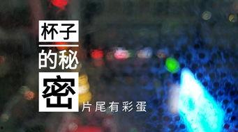 甘肃饭店爆料视频最新版,揭露惊人内幕，真相令人震惊！